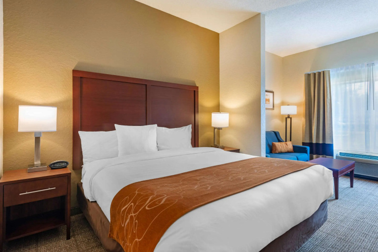 Comfort Suites Downtown