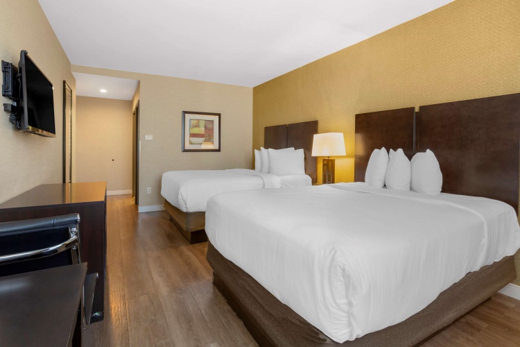 Quadruple Suite