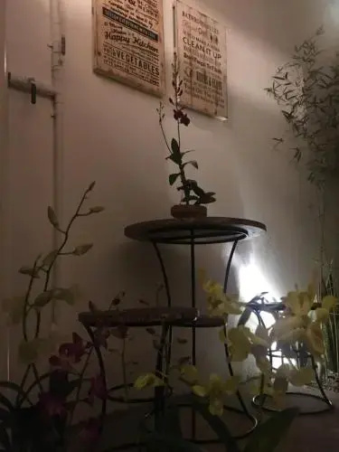 Wood Stone Hostel