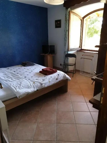 Standard Double room with garden view