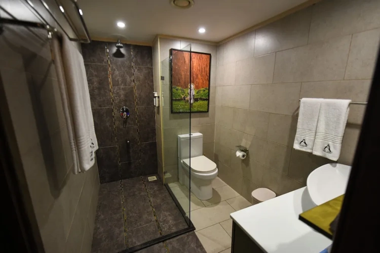 Deluxe Double Suite with view