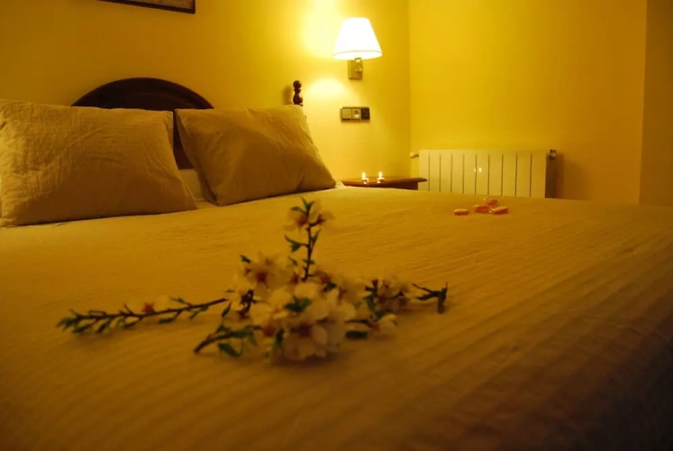 Standard Twin room with balcony