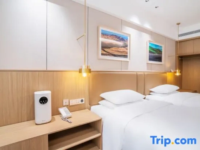 Business Double room