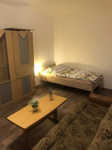 Family Apartment with garden view