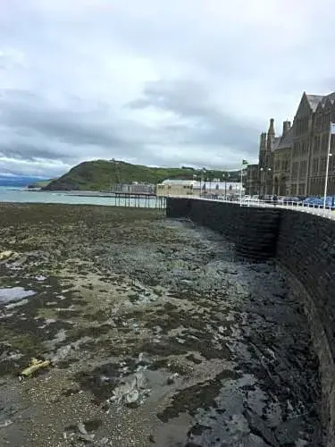 Bryncoed