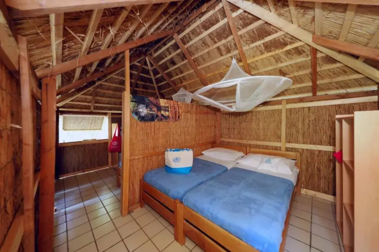 Pine Beach Pakostane - All Inclusive light