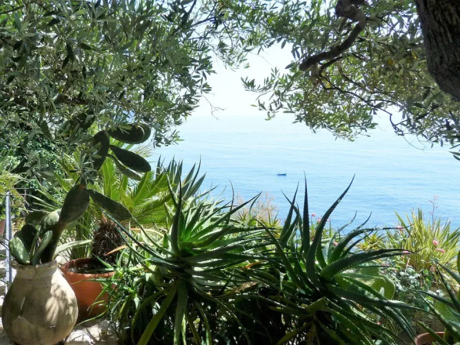 House Limone