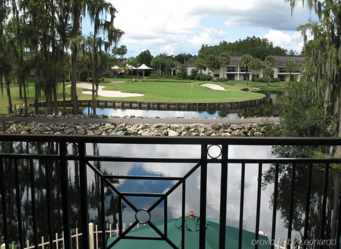 Saddlebrook Resort Tampa photo 24