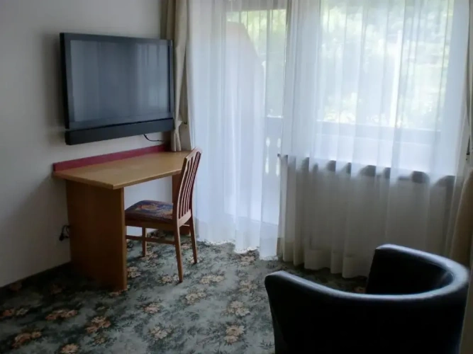 Standard Double room with balcony and with view