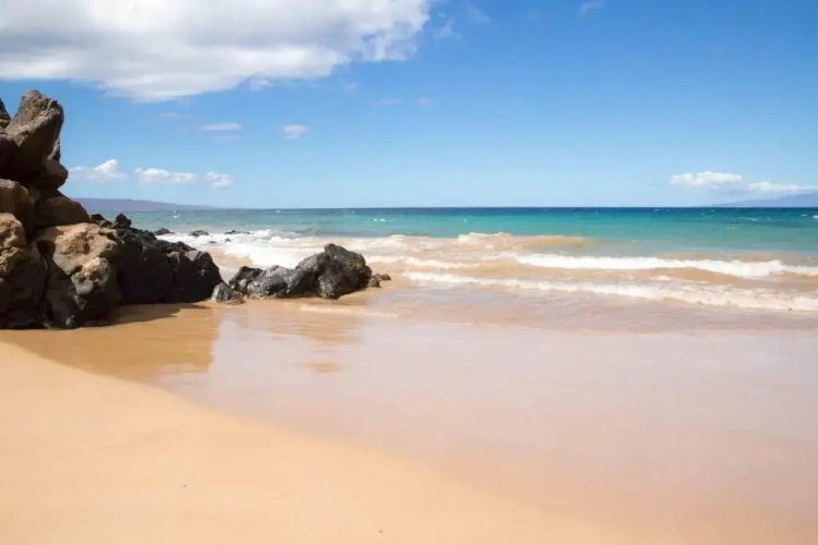 Hale Kamaole #133