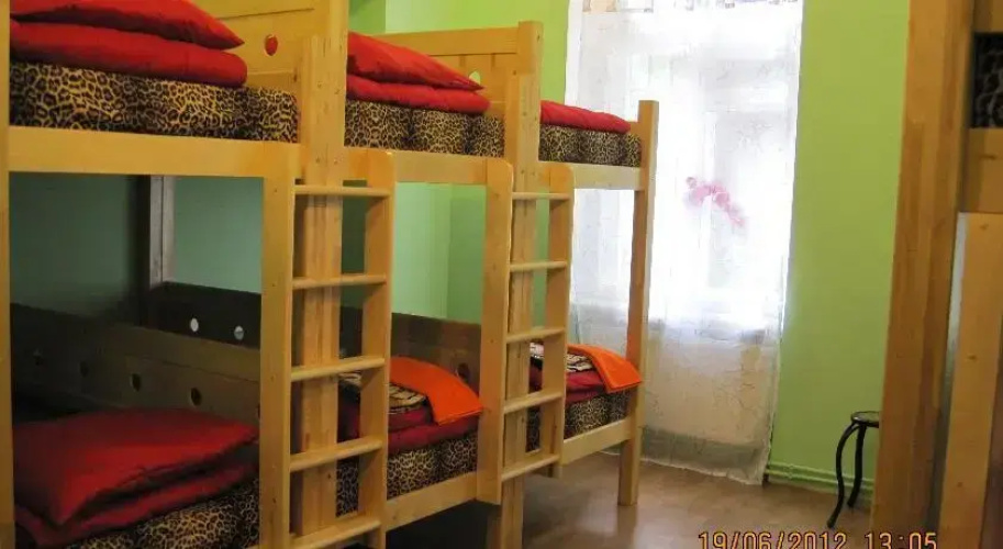 Tiger Hostel