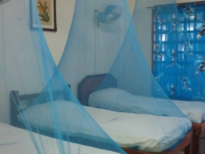 Standard Duplex room