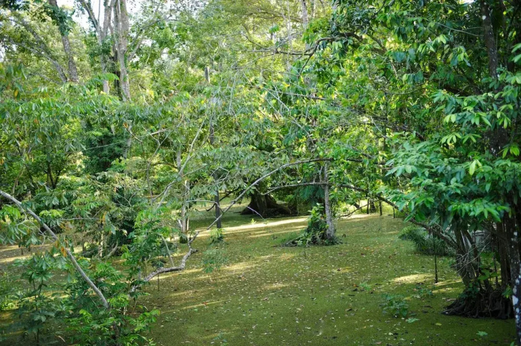 Dreamcatcher Hostel