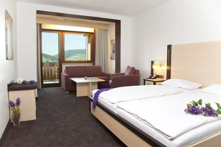 Comfort Double room with balcony and with view