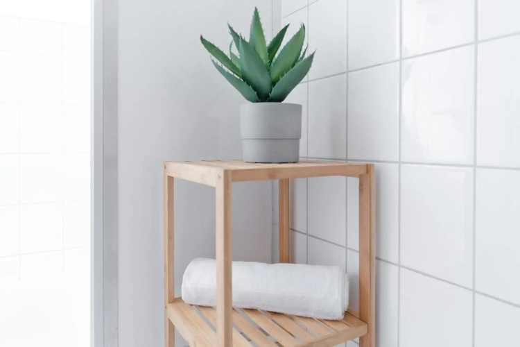 Fahrenkrug Wohnung 3