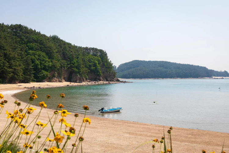 Healing beach pension