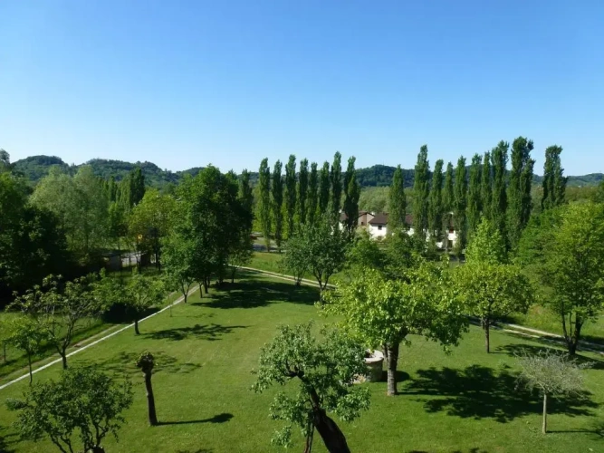 Deluxe Double room with garden view