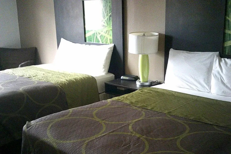 The Suite Inn