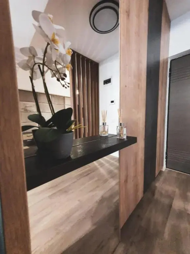Coquette studio
