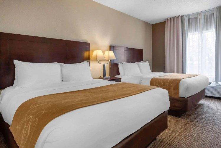 Quadruple Suite