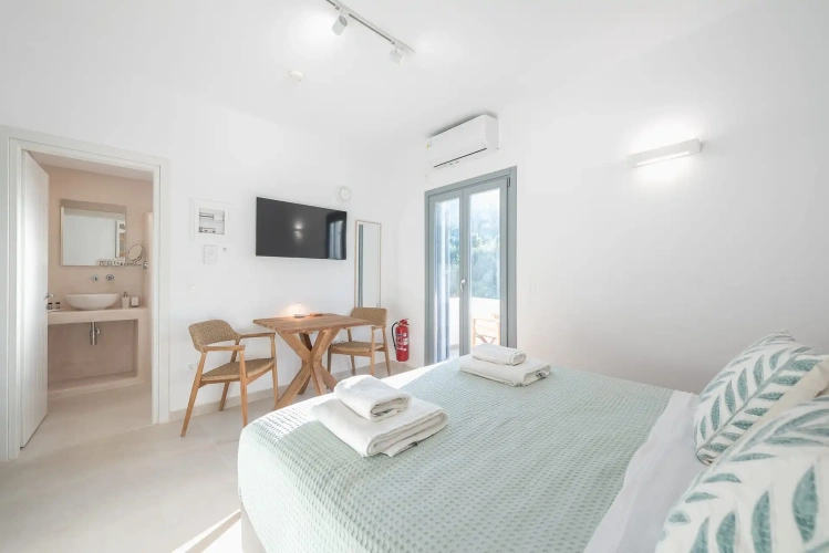 Double Studio with mountain view