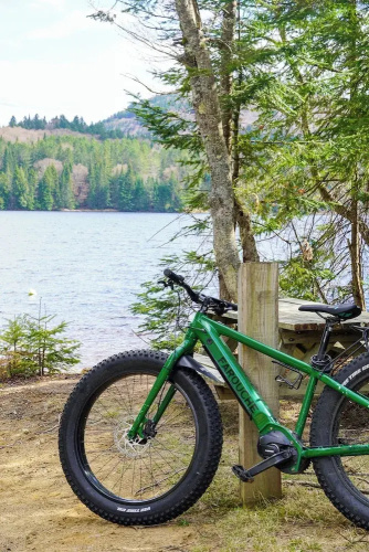 Farouche Tremblant