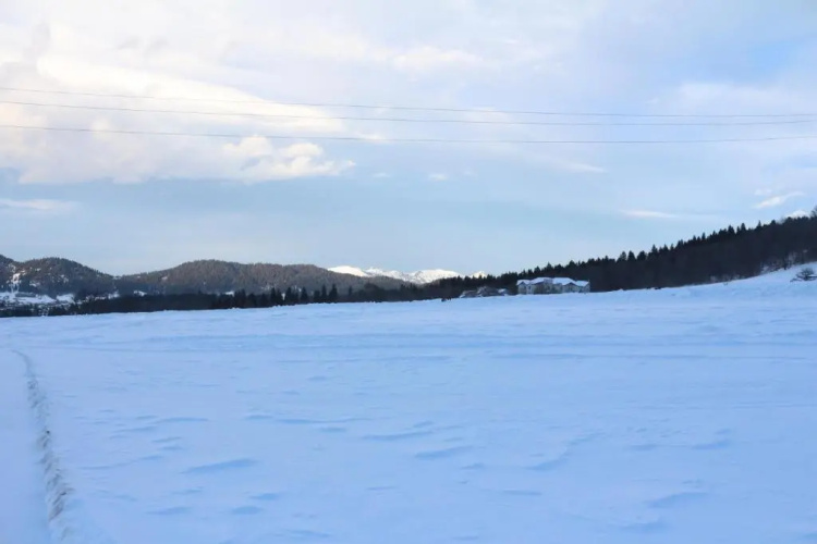 Crystal Resort Bakuriani A404
