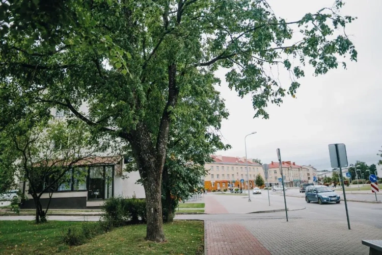 1 Bedroom Double Apartment