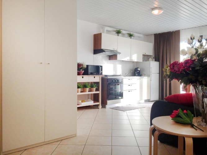 1 Bedroom Apartment