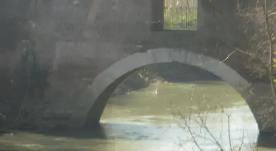 Ambrosia a Ponte Tazio