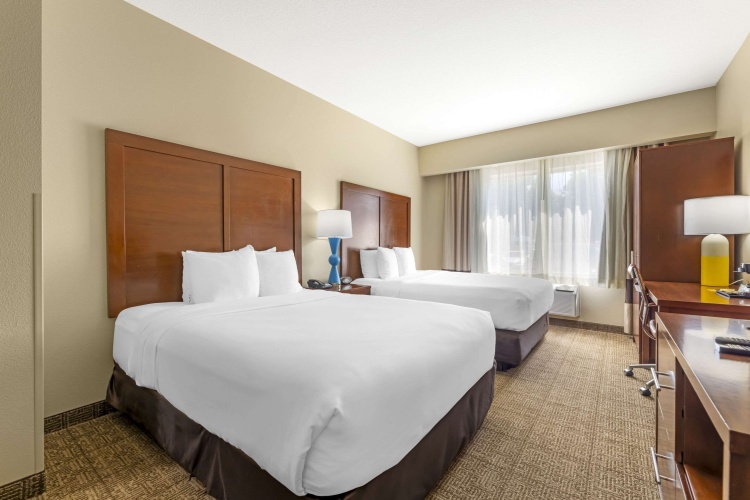 Quadruple Suite