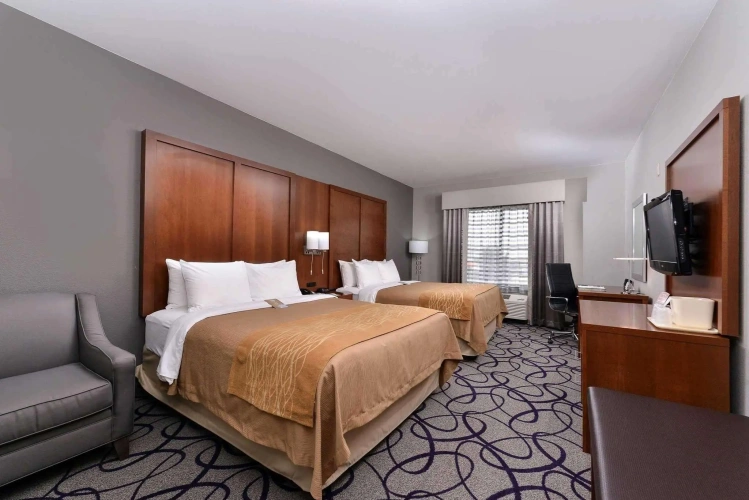 Quadruple Suite