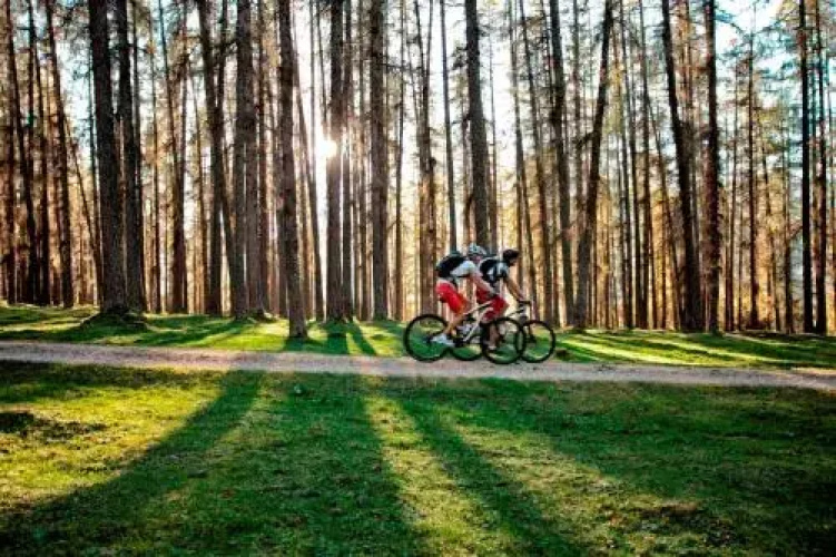 Mellow Mountain Hostel