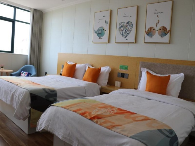 Standard Single room