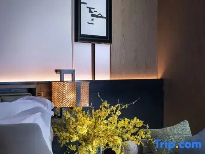 Standard Double room with river view