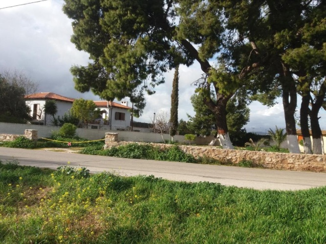 Outside