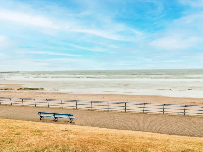 Sea Snug