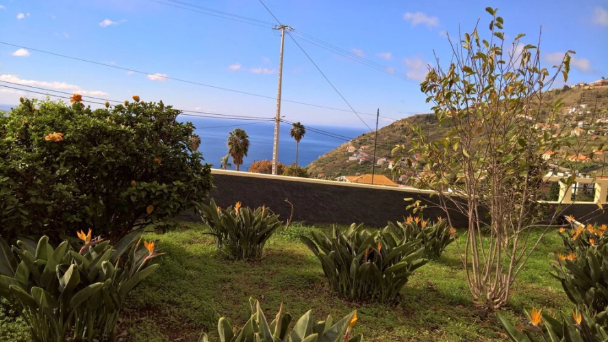 The Sun Palms House