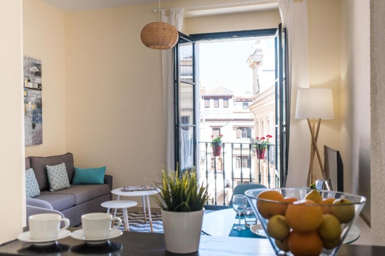 1 Bedroom Apartment
