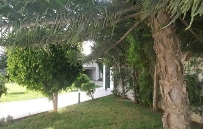 Dar Yamama