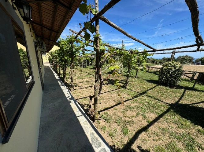 Superior Double room with balcony