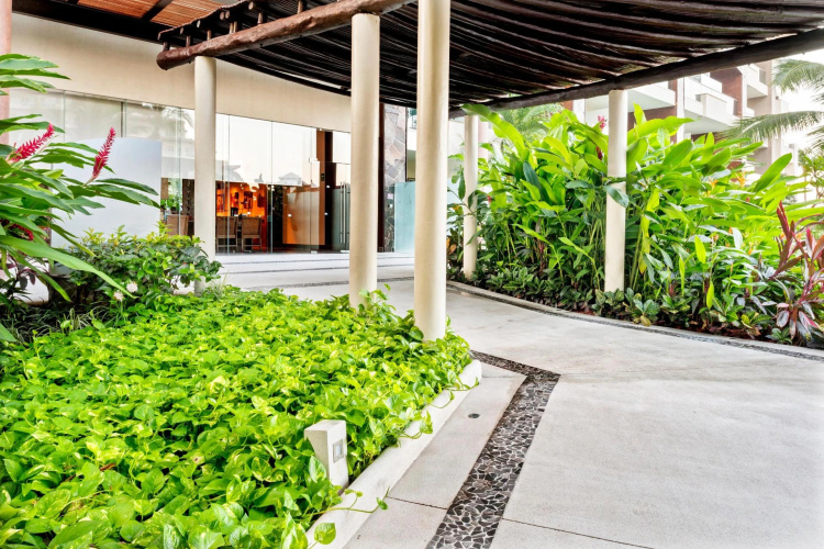 Secrets Vallarta Bay Resorts & Spa photo 31