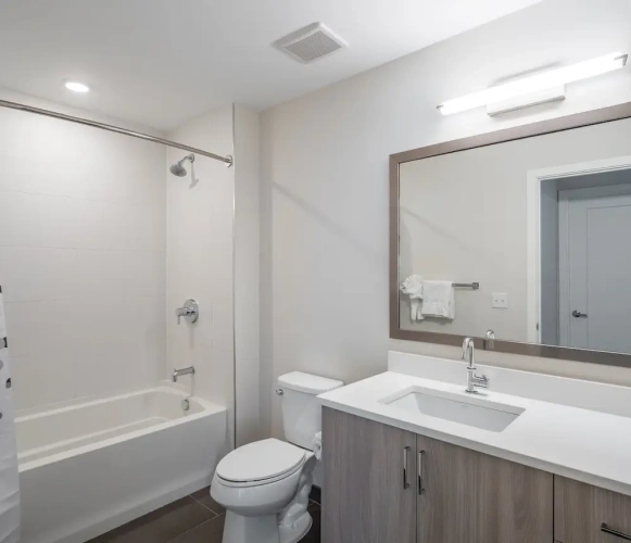 Luxury Double Apartment