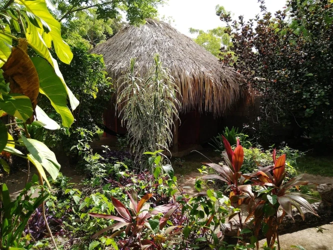 Standard Bungalow