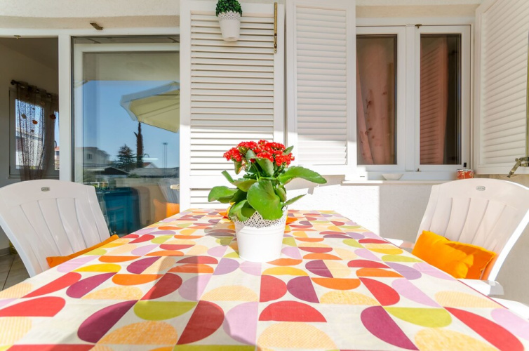 Apartment Sea Shell