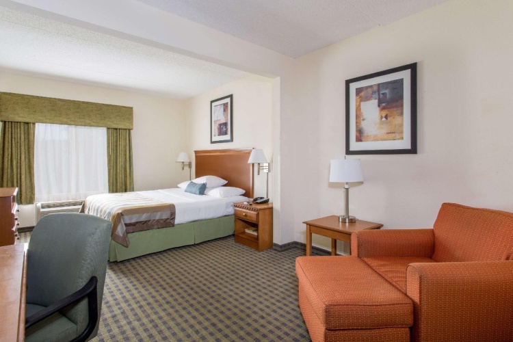 Standard Double room