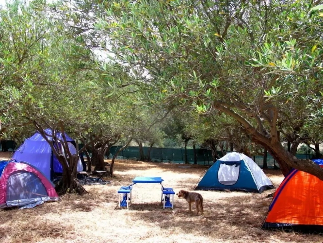 Tent