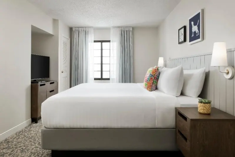 1 Bedroom Suite