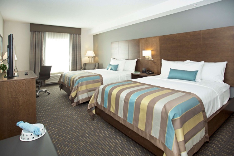 Wingate by Wyndham Calgary Airport photo 7