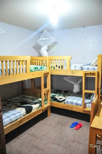 Bed in Dorm